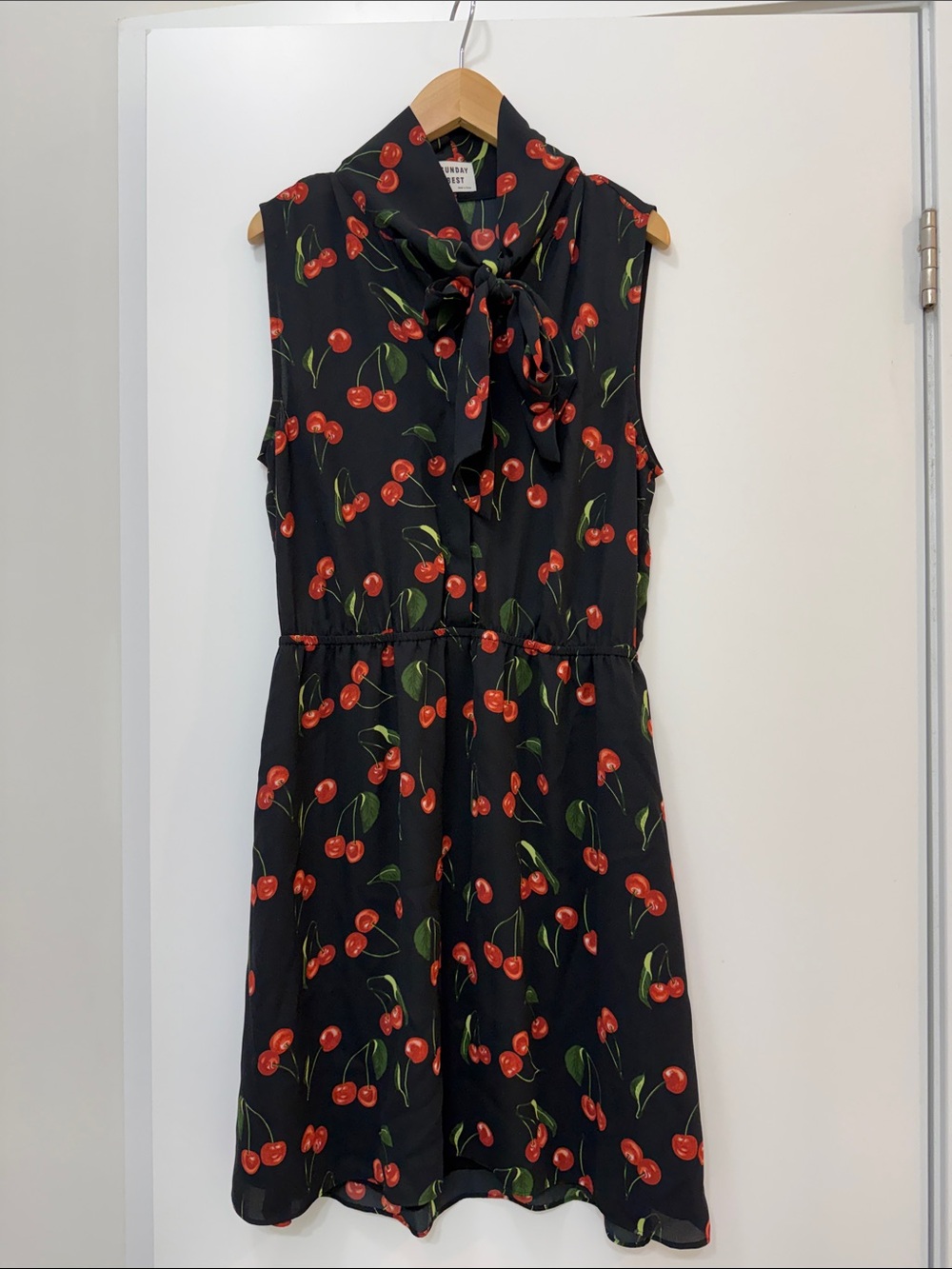 Aritzia Sunday Best Sleeveless Black Cherry Tie-Neck Dress size s